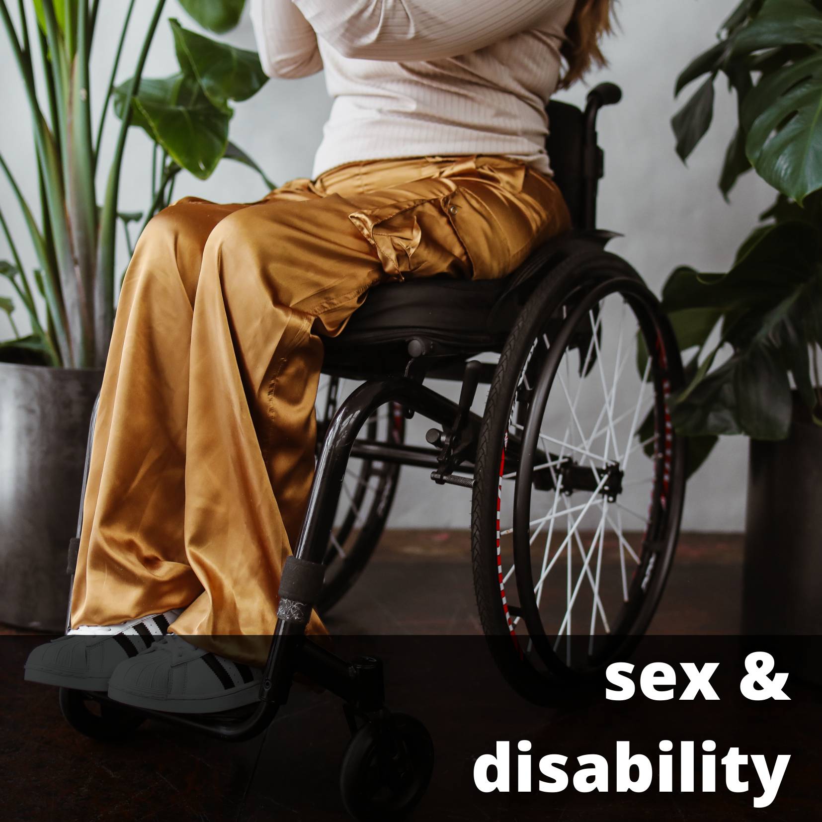 sex and disability